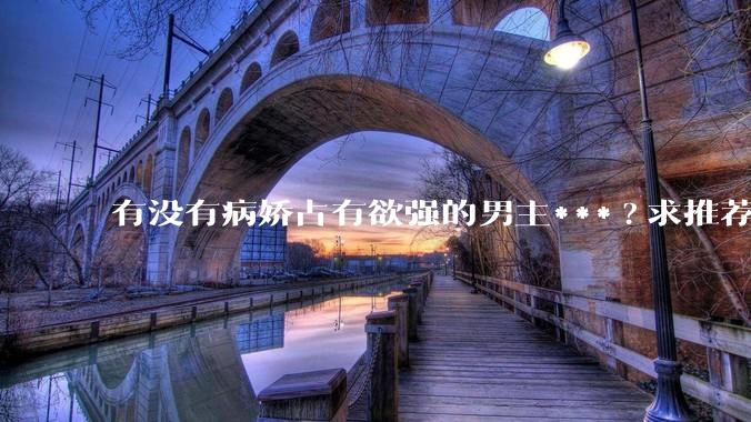 有没有病娇占有欲强的男主***?求推荐?
